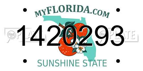 1420293 Florida License Plate