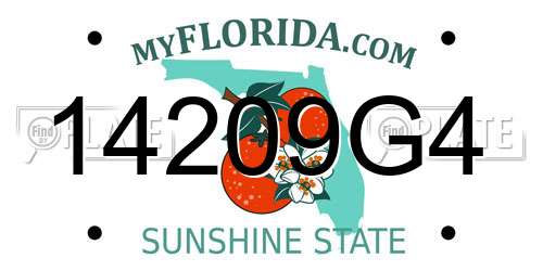 14209G4 Florida License Plate