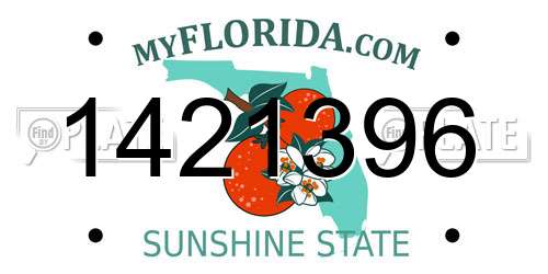 1421396 Florida License Plate