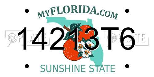 14213T6 Florida License Plate