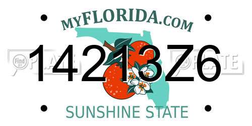 14213Z6 Florida License Plate