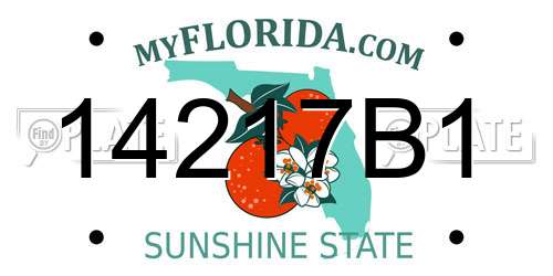 14217B1 Florida License Plate