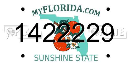 1422229 Florida License Plate