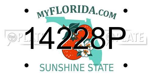 14228P Florida License Plate