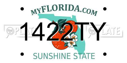 1422TY Florida License Plate