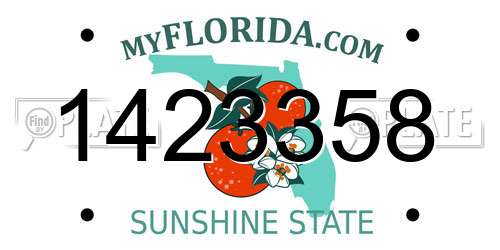 1423358 Florida License Plate