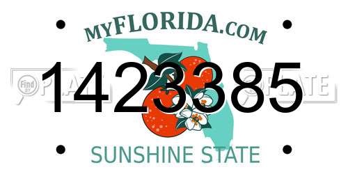 1423385 Florida License Plate