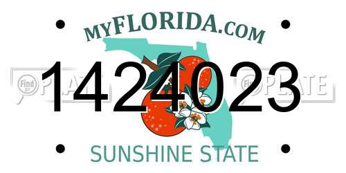 1424023 Florida License Plate
