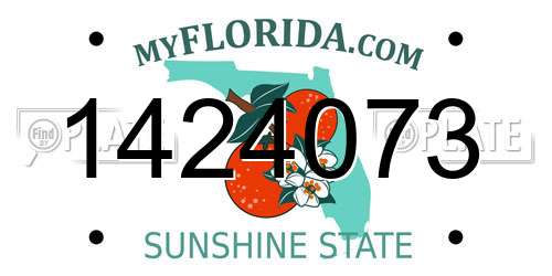 1424073 Florida License Plate