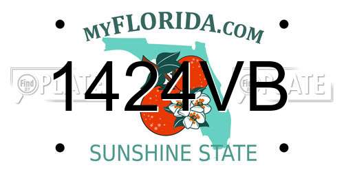 1424VB Florida License Plate