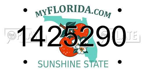 1425290 Florida License Plate