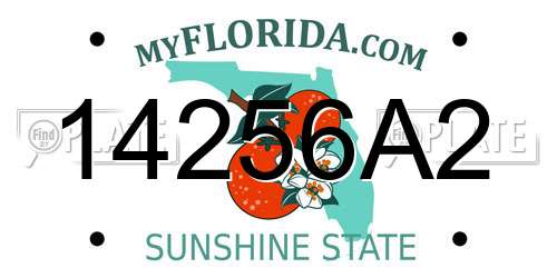 14256A2 Florida License Plate