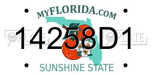 14258D1 Florida License Plate