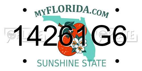14261G6 Florida License Plate