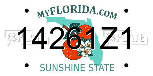 14261Z1 Florida License Plate
