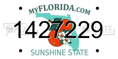 1427229 Florida License Plate