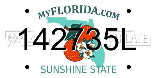 142735L Florida License Plate