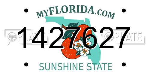 1427627 Florida License Plate