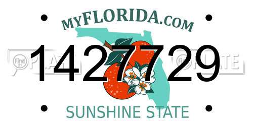 1427729 Florida License Plate