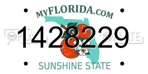 1428229 Florida License Plate