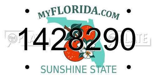 1428290 Florida License Plate