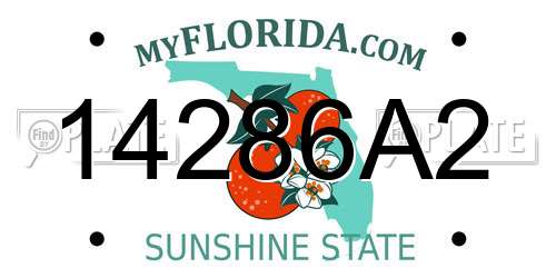 14286A2 Florida License Plate