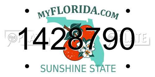1428790 Florida License Plate