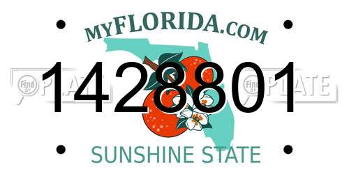 1428801 Florida License Plate