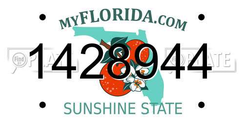 1428944 Florida License Plate