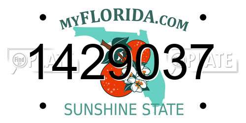 1429037 Florida License Plate