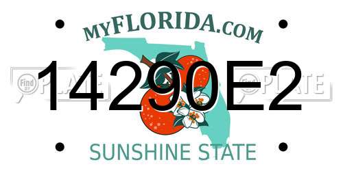 14290E2 Florida License Plate