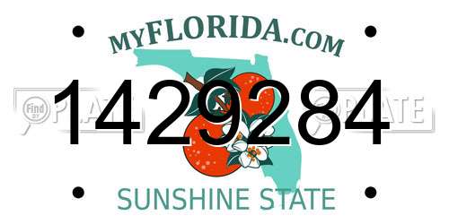 1429284 Florida License Plate