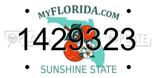 1429323 Florida License Plate