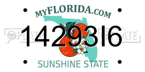 14293I6 Florida License Plate
