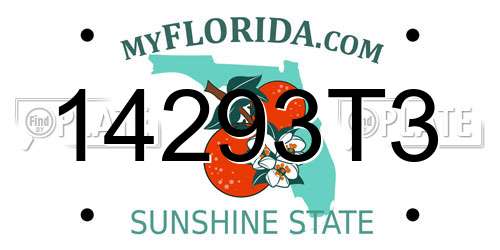 14293T3 Florida License Plate