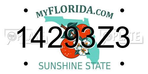 14293Z3 Florida License Plate