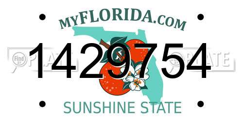 1429754 Florida License Plate