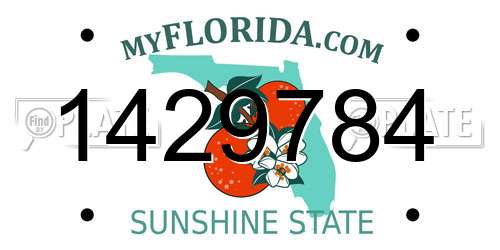 1429784 Florida License Plate