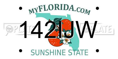 142IJW Florida License Plate