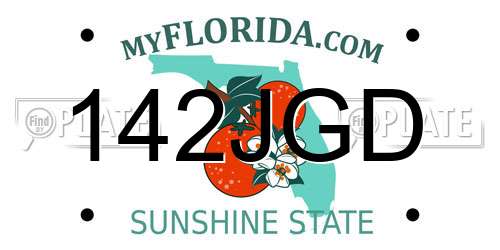 142JGD Florida License Plate