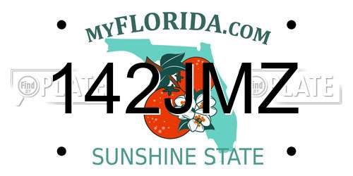 142JMZ Florida License Plate