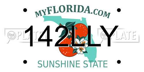 142LLY Florida License Plate