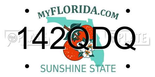 142QDQ Florida License Plate