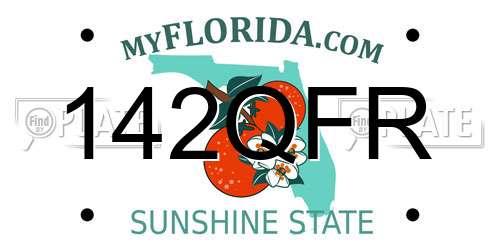 142QFR Florida License Plate