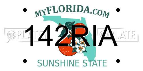 142RIA Florida License Plate