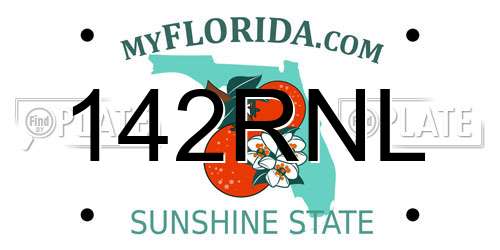 142RNL Florida License Plate