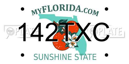 142TXC Florida License Plate