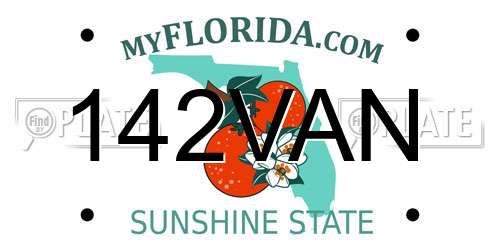 142VAN Florida License Plate