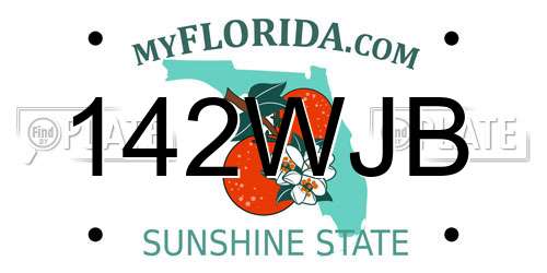 142WJB Florida License Plate