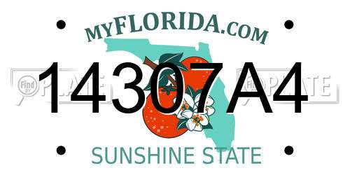 14307A4 Florida License Plate